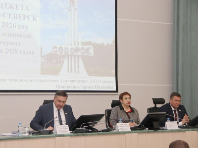 Комитеты Думы поддержали проект бюджета 