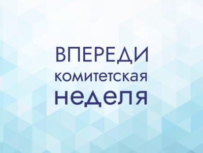 Депутатские комитеты приступают к подготовке сессии Думы