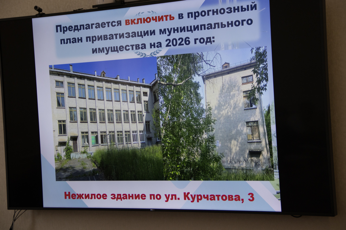 IMG_3532.jpg
